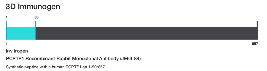 PCPTP1 Recombinant Rabbit Monoclonal Antibody (JE64-84)