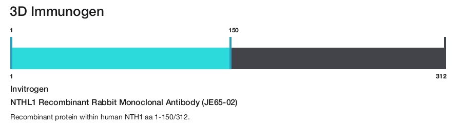 NTHL1 Recombinant Rabbit Monoclonal Antibody (JE65-02)
