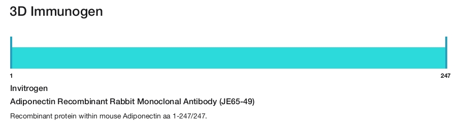Adiponectin Recombinant Rabbit Monoclonal Antibody (JE65-49)