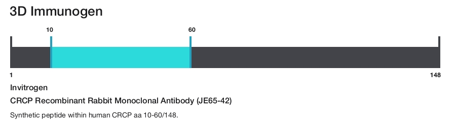 CRCP Recombinant Rabbit Monoclonal Antibody (JE65-42)