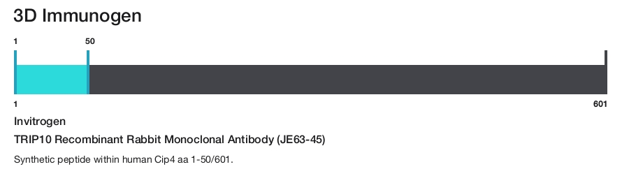 TRIP10 Recombinant Rabbit Monoclonal Antibody (JE63-45)