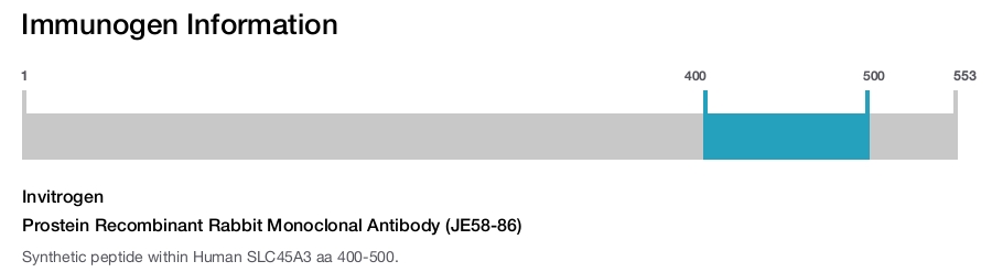 Prostein Recombinant Rabbit Monoclonal Antibody (JE58-86)