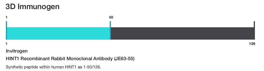 HINT1 Recombinant Rabbit Monoclonal Antibody (JE63-55)