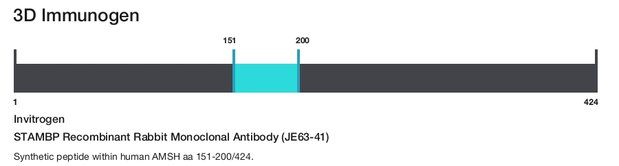 STAMBP Recombinant Rabbit Monoclonal Antibody (JE63-41)