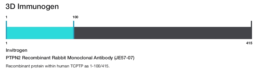 PTPN2 Recombinant Rabbit Monoclonal Antibody (JE57-07)