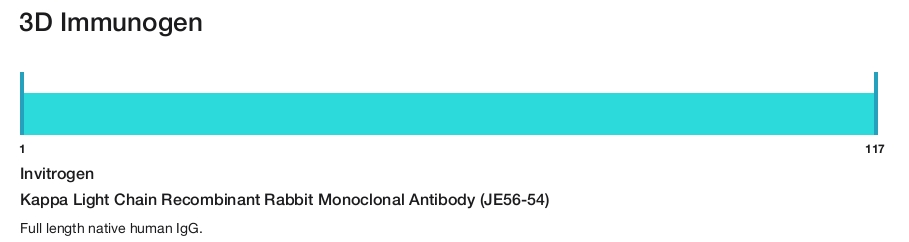 Kappa Light Chain Recombinant Rabbit Monoclonal Antibody (JE56-54)