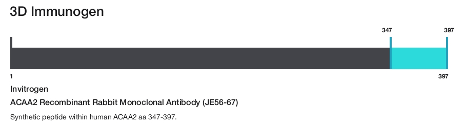 ACAA2 Recombinant Rabbit Monoclonal Antibody (JE56-67)