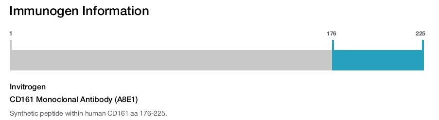 CD161 Monoclonal Antibody (A8E1)