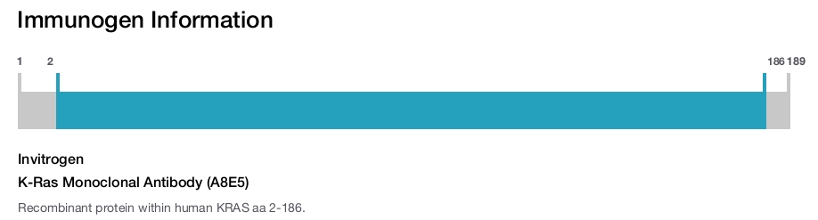 K-Ras Monoclonal Antibody (A8E5)