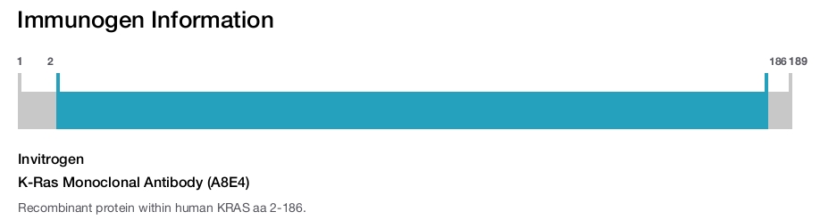 K-Ras Monoclonal Antibody (A8E4)