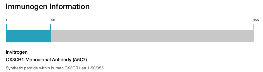 CX3CR1 Monoclonal Antibody (A5C7)