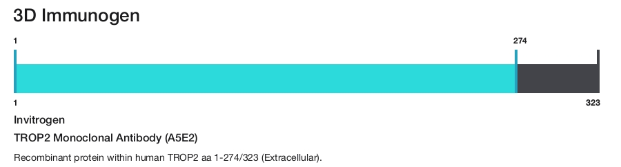 TROP2 Monoclonal Antibody (A5E2)