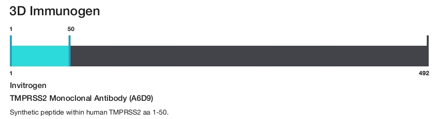 TMPRSS2 Monoclonal Antibody (A6D9)