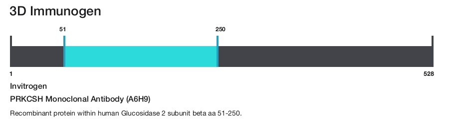 PRKCSH Monoclonal Antibody (A6H9)