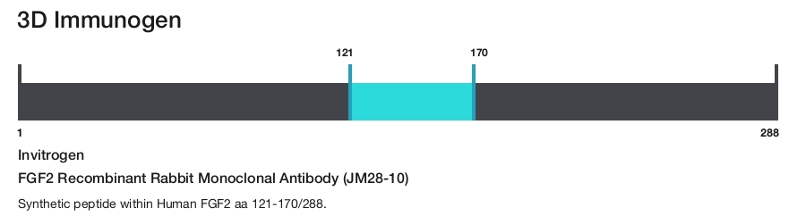 FGF2 Recombinant Rabbit Monoclonal Antibody (JM28-10)