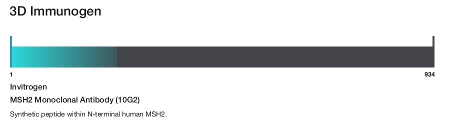MSH2 Monoclonal Antibody (10G2)