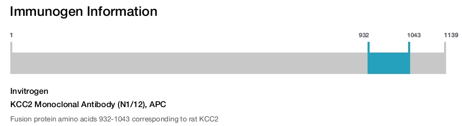 KCC2 Monoclonal Antibody (N1/12), APC
