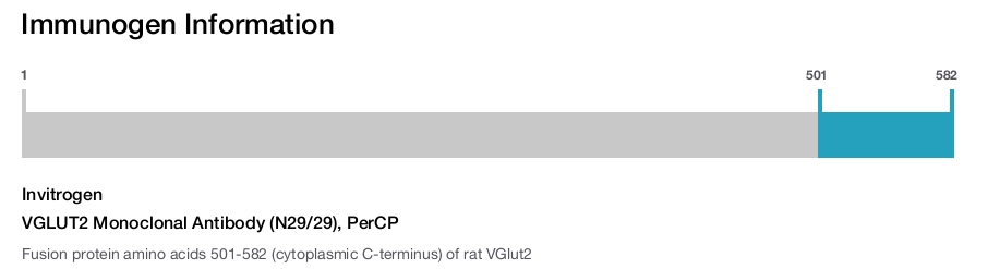 VGLUT2 Monoclonal Antibody (N29/29), PerCP