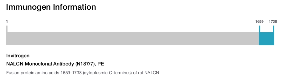 NALCN Monoclonal Antibody (N187/7), PE