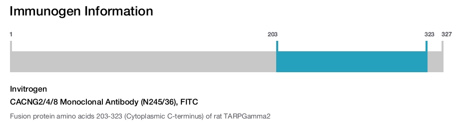 CACNG2/4/8 Monoclonal Antibody (N245/36), FITC