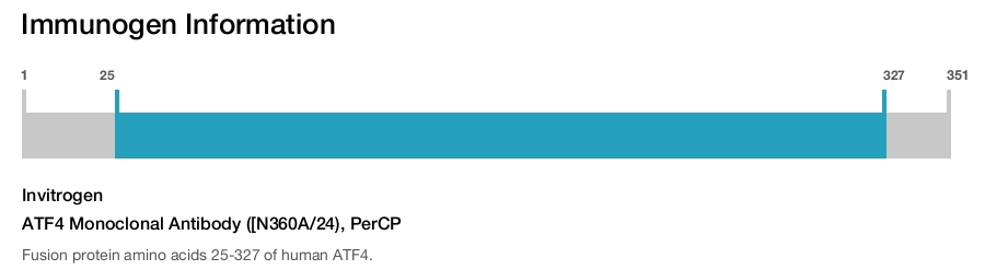 ATF4 Monoclonal Antibody ([N360A/24), PerCP