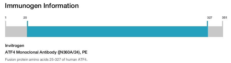 ATF4 Monoclonal Antibody ([N360A/24), PE
