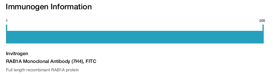 RAB1A Monoclonal Antibody (7H4), FITC