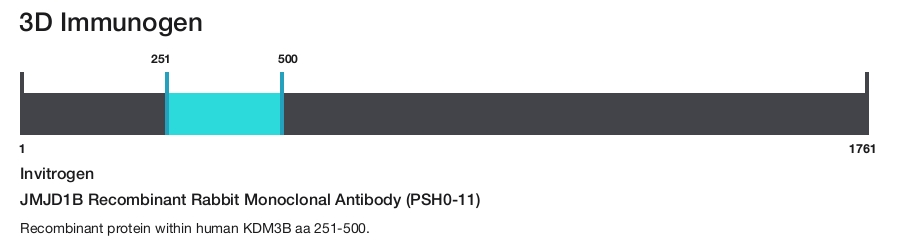 JMJD1B Recombinant Rabbit Monoclonal Antibody (PSH0-11)