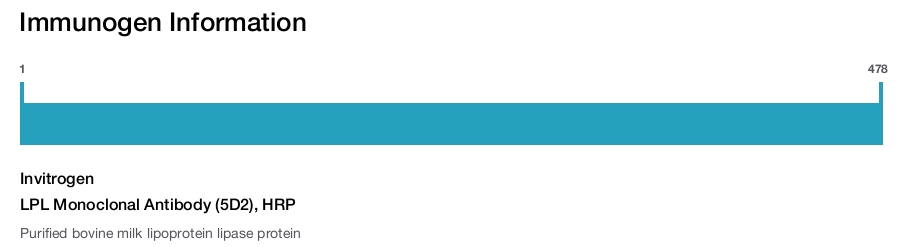 LPL Monoclonal Antibody (5D2), HRP