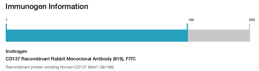 CD137 Recombinant Rabbit Monoclonal Antibody (819), FITC