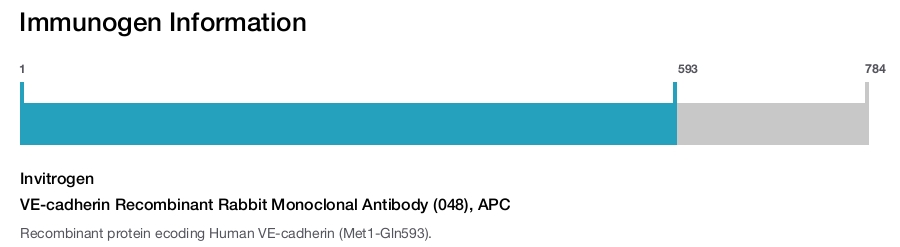 VE-cadherin Recombinant Rabbit Monoclonal Antibody (048), APC