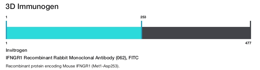 IFNGR1 Recombinant Rabbit Monoclonal Antibody (062), FITC