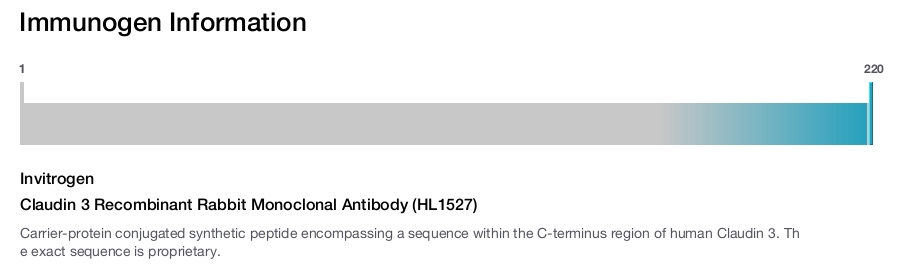 Claudin 3 Recombinant Rabbit Monoclonal Antibody (HL1527)