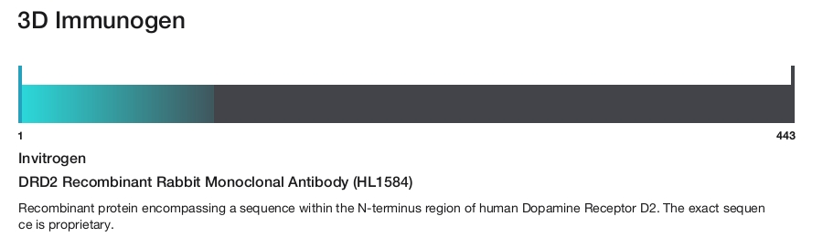 DRD2 Recombinant Rabbit Monoclonal Antibody (HL1584)