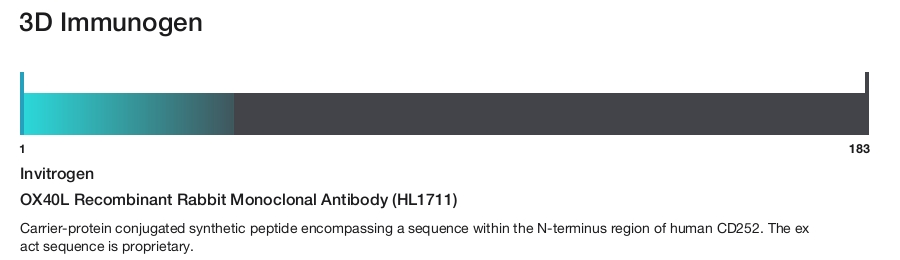 OX40L Recombinant Rabbit Monoclonal Antibody (HL1711)