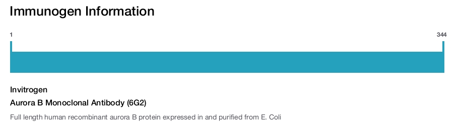 Aurora B Monoclonal Antibody (6G2)