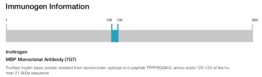 MBP Monoclonal Antibody (7G7)