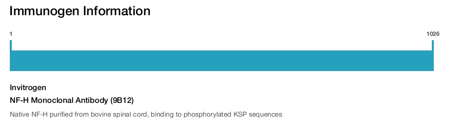 NF-H Monoclonal Antibody (9B12)