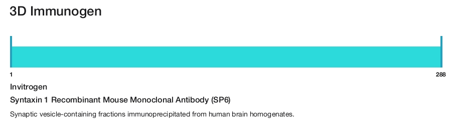 Syntaxin 1 Recombinant Mouse Monoclonal Antibody (SP6)