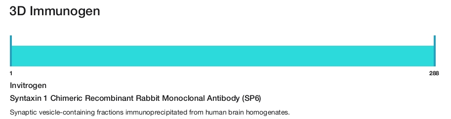 Syntaxin 1 Chimeric Recombinant Rabbit Monoclonal Antibody (SP6)