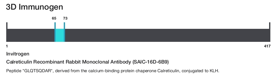 Calreticulin Recombinant Rabbit Monoclonal Antibody (SAIC-16D-6B9)
