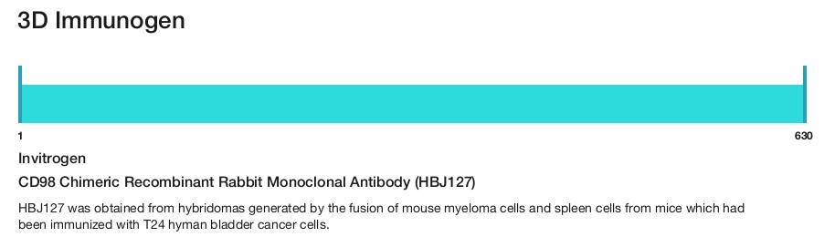 CD98 Chimeric Recombinant Rabbit Monoclonal Antibody (HBJ127)