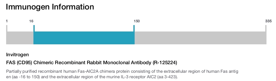FAS (CD95) Chimeric Recombinant Rabbit Monoclonal Antibody (R-125224)