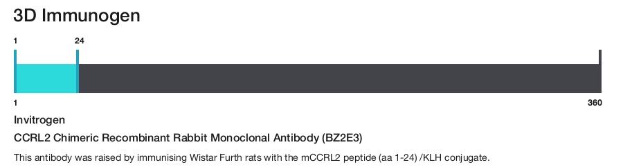 CCRL2 Chimeric Recombinant Rabbit Monoclonal Antibody (BZ2E3)