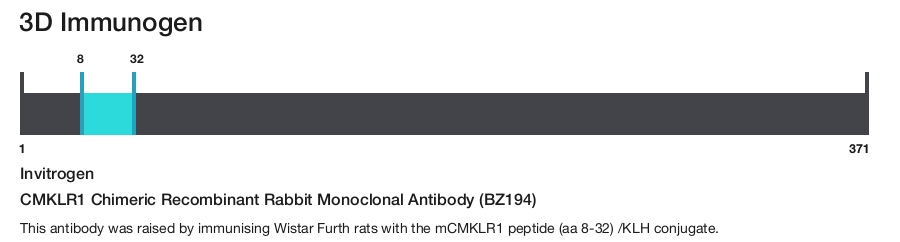 CMKLR1 Chimeric Recombinant Rabbit Monoclonal Antibody (BZ194)