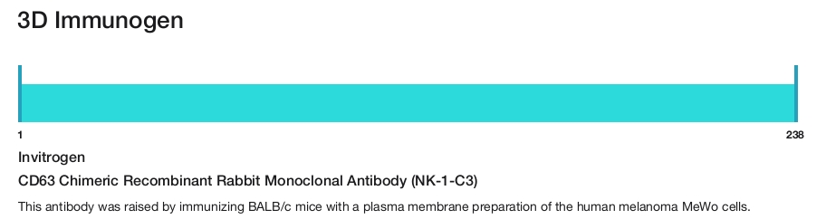 CD63 Chimeric Recombinant Rabbit Monoclonal Antibody (NK-1-C3)