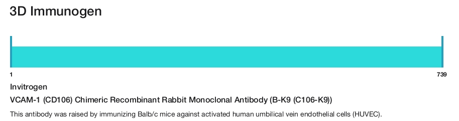VCAM-1 (CD106) Chimeric Recombinant Rabbit Monoclonal Antibody (B-K9 (C106-K9))