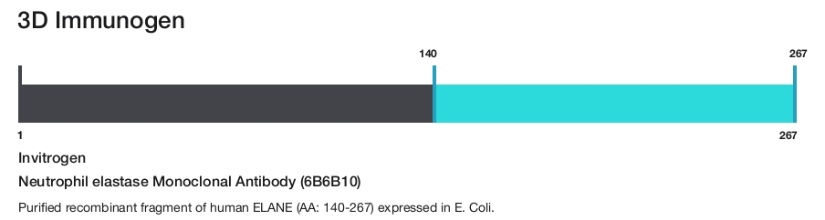Neutrophil elastase Monoclonal Antibody (6B6B10)