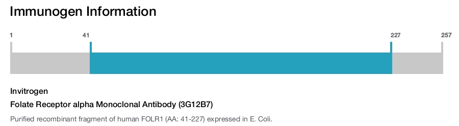 Folate Receptor alpha Monoclonal Antibody (3G12B7)