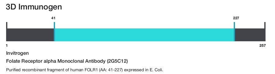 Folate Receptor alpha Monoclonal Antibody (2G5C12)